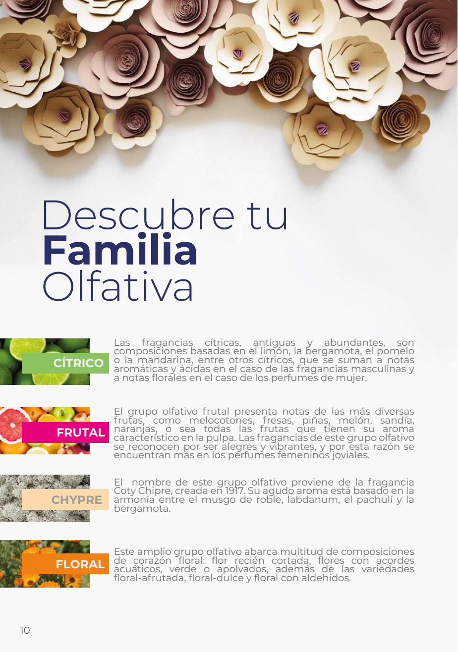 Guía de familias olfativas — cítrico, aldehídico, floral, fougère
