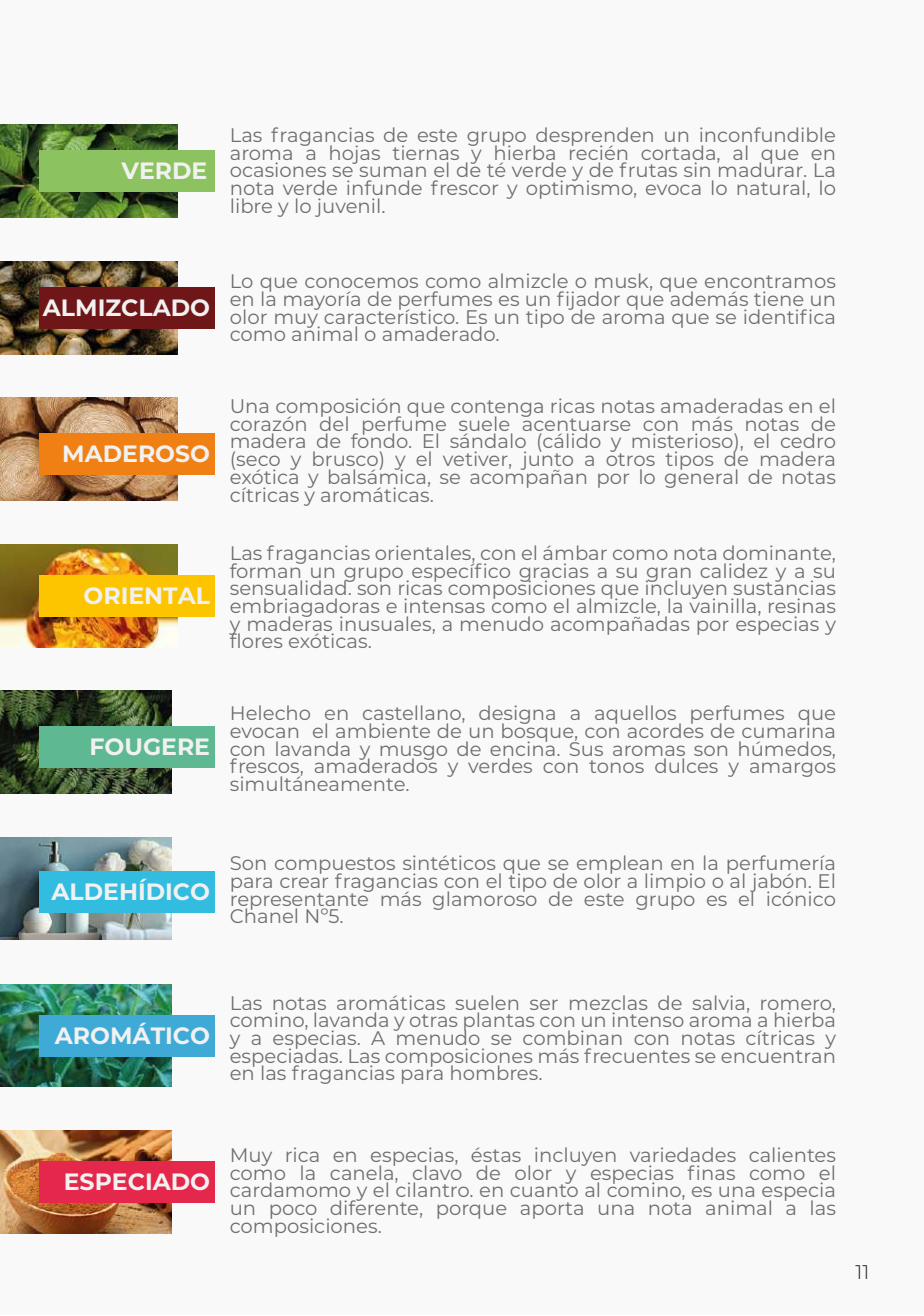 Guía de familias olfativas — amaderado, oriental, verde, almizclado, especiado